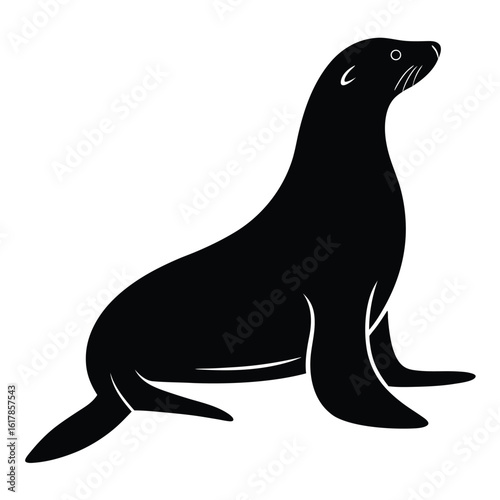 Black silhouette of a sea lion on a white background animal