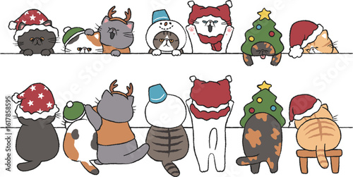 猫(エキゾチックショートヘア)のボーダーセット/クリスマス