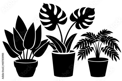 Three potted houseplants in silhouette style