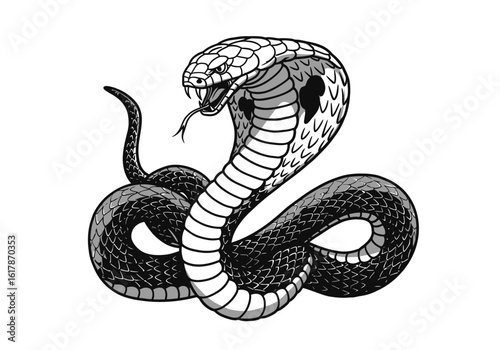 Striking Cobra Illustration with Hood Displayed and Tongue Extended.