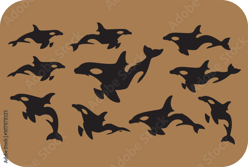 A captivating collection of ten silhouetted killer whales in dynamic poses against a warm textured brown background creating a visually appealing marine wildlife scene