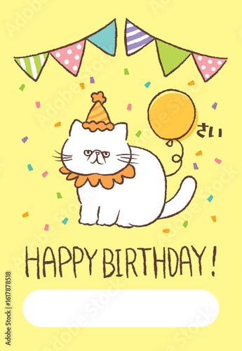 猫(エキゾチックショートヘア)の誕生日ポストカード縦長