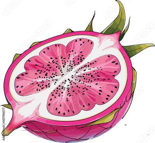 Dragon Fruit on White Background Vector Illustration
