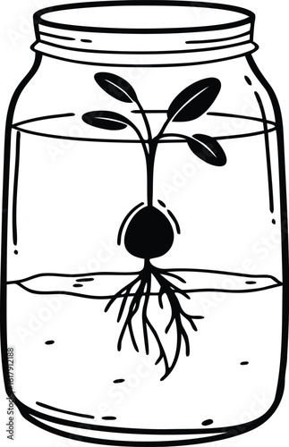 "Seedling in a Jar: The Ultimate Symbol of Growth and Renewal"