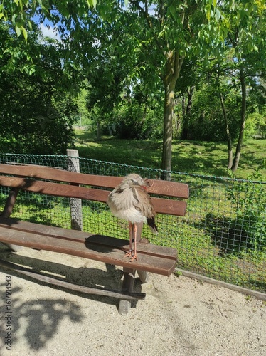 bench in the park