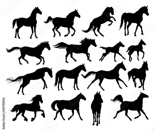 The set of horses silhouettes.