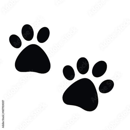 Dog paws illustration