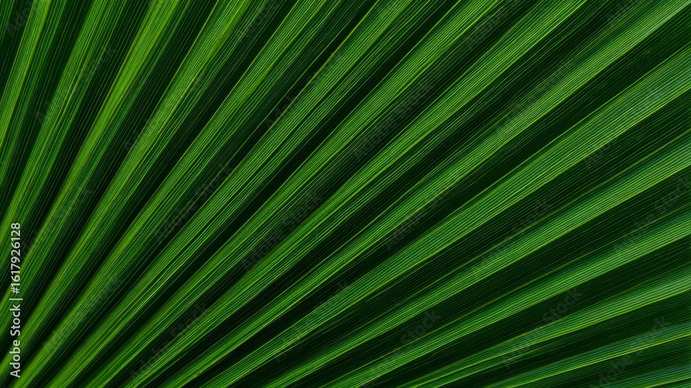 Obraz premium Radiant green palm leaf with vivid veins. AI generated
