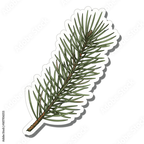 Hand-drawn evergreen fir branch sticker illustration. Isolated coniferous sprig for Christmas and nature design, vector-style graphic element.
