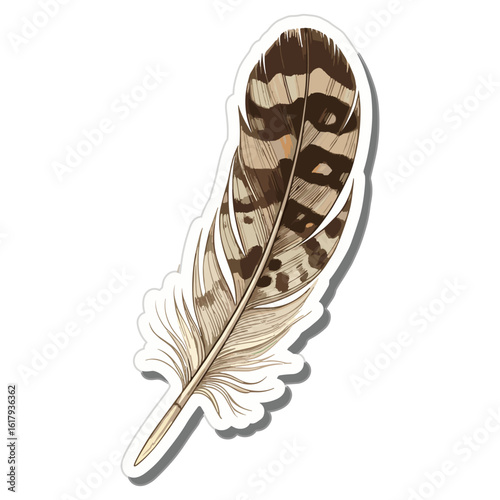 Realistic hand-drawn wild bird feather with brown and beige spots. Vector graphic illustration isolated on a white background.