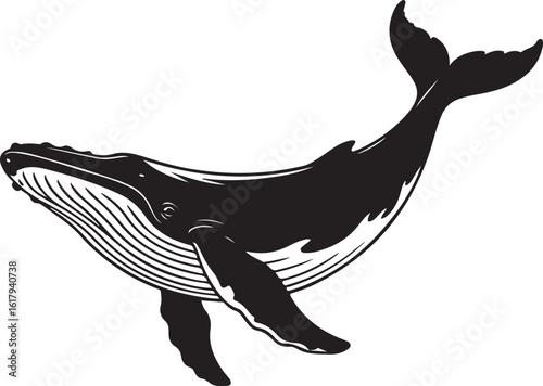 Humpback Whale Vector Illustration of a Marine Mammal in Silhouette