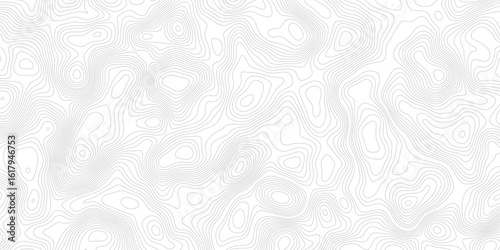 a white background with gray contour lines depicting a topographic map. the lines show changes in elevation and create an abstract pattern.