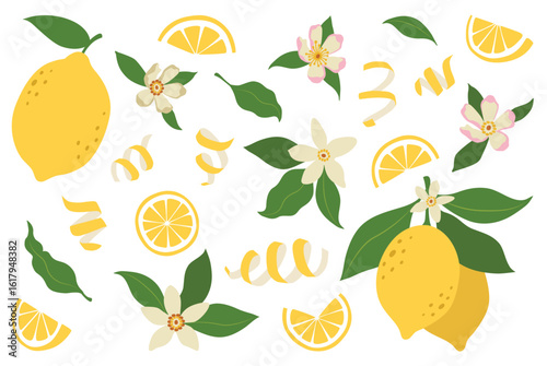 Lemons illustration, citrus fruits, green leaves, white flowers. Clipart set, yellow green colors. Baby shower design elements. Party invitation, birthday celebration. Spring or summer decoration set