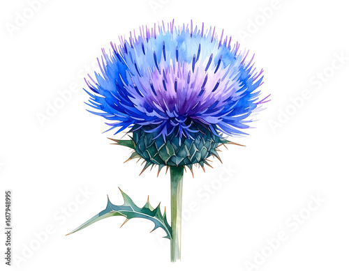 Watercolor thistle flower with purple and blue petals, isolated on a black backdrop for artistic design.