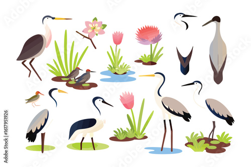 Exotic Birds and Botanical Arrangement: A curated collection of illustrations showcasing various bird species, artfully combined with vibrant botanical elements.