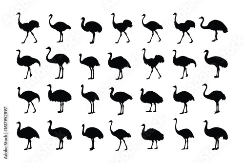 Ostrich Silhouette Collection: An array of ostrich silhouettes gracefully illustrates the diverse movements, postures, and expressions of the world's largest flightless bird.
