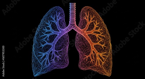 Abstract depiction of lungs with branching bronchioles against a black background rendered in a wireframe style with a color gradient