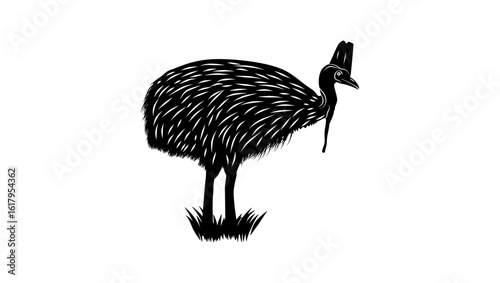 Cassowary bird, black isolated silhouette