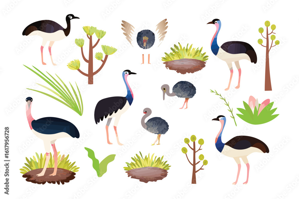 Obraz premium Birds and Bush Watercolor Collection: A delightful collection of colorful watercolor illustrations of emus and diverse elements, designed to evoke the vibrant essence of a sunny and serene habitat