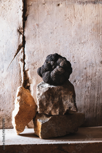 truffe truffe noir  diamant noir   portrait  nature morte parfum tuber trufficulture  champignon arôme  puissant  terroir