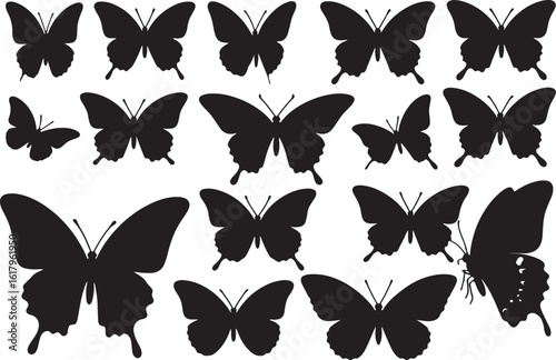 Butterfly collection silhouette
