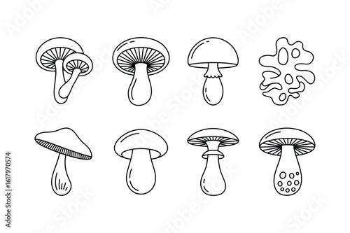 Various mushrooms and a lichen illustration fungi nature