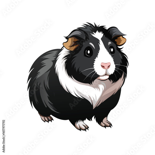 vector illustration of a black and white  guinea pig