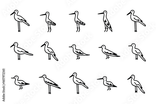 Avian Line Art in Harmony: An elegantly designed collection of shorebirds, rendered in refined line art, offering a touch of aesthetic pleasure. Perfect for artistic and design needs.