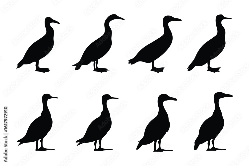 Obraz premium Cormorant Silhouette Set: A set of eight monochromatic silhouettes of a cormorant, a sleek, elegant waterbird, is presented in a clean, minimalist style. Perfect for design and illustrative purposes.