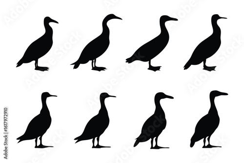 Cormorant Silhouette Set: A set of eight monochromatic silhouettes of a cormorant, a sleek, elegant waterbird, is presented in a clean, minimalist style. Perfect for design and illustrative purposes.