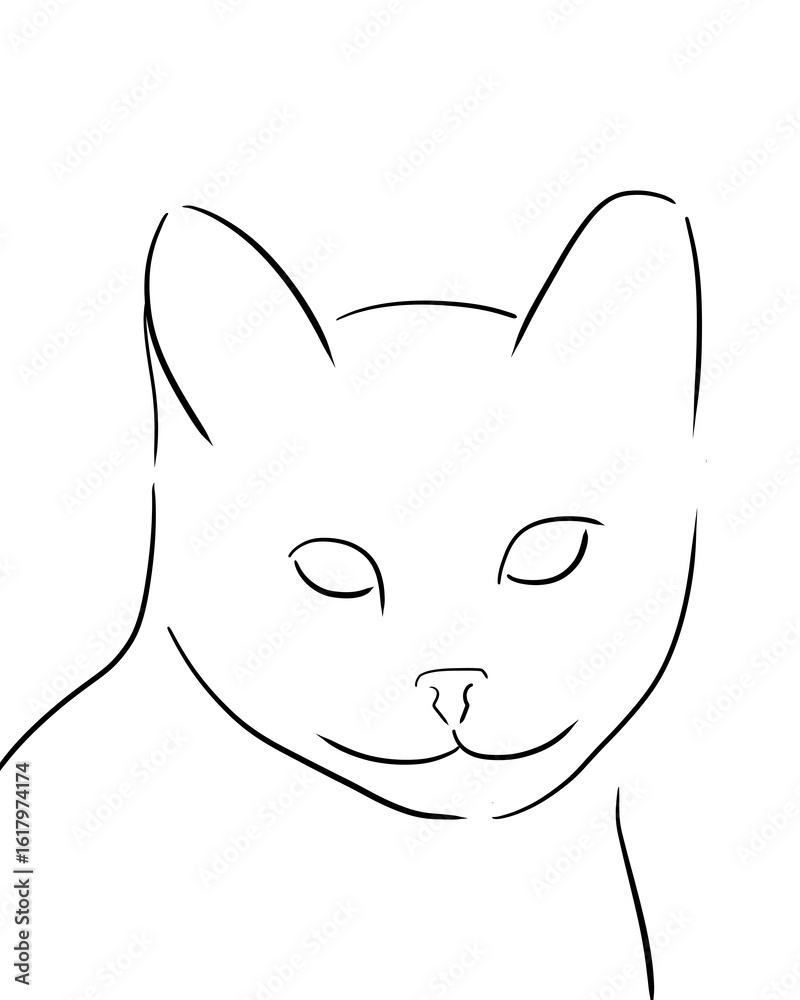 Fototapeta premium black and white cat