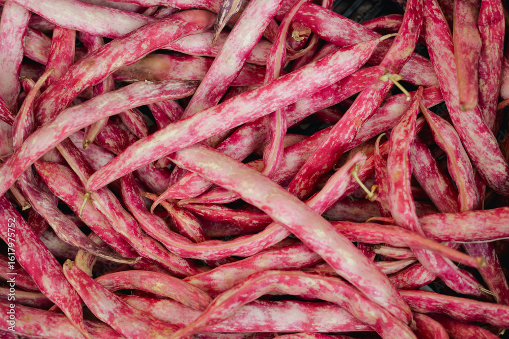 Fresh string beans at small local urban market. Organic produce on sale at outdoor farmer market. Selling fresh crops and veggies harvest. European urban setting. Close up. Part of the series Fresh string beans at small local urban market. Organic produce on sale at outdoor farmer market. Selling fresh crops and veggies harvest. European urban setting. Close up. Part of the series