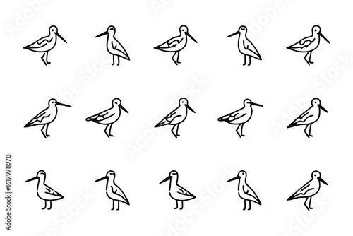 Sandpipers Illustration: A delightful illustration showcases a series of sandpipers, capturing the essence of these elegant shorebirds in simple black line art.