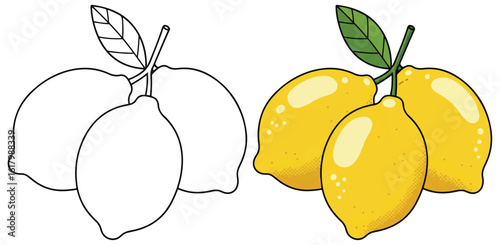 Three Fresh Lemons with Leaf in Split Black-and-White and Colored Illustration - Bright Citrus Artwork for Healthy Food Concepts