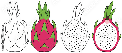 Dragon Fruit Whole and Sliced Illustration in Split Black-and-White and Colored Style | Tropical Exotic Fruit Design for Healthy Eating and Creative Projects