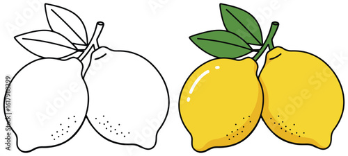 Two Whole Lemons with Leaves Illustration in Split Black-and-White and Colored Style - Fresh Citrus Design for Healthy Eating and Creative Art