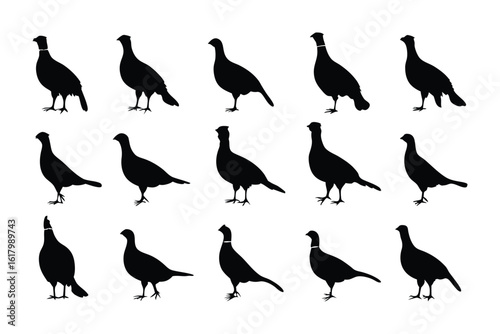 Silhouette of Game Bird Collection: A meticulously crafted collection of game bird silhouettes, showcasing the elegant forms and characteristic postures of these magnificent creatures.