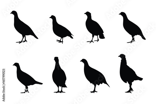 Quadro su tela Partridge Silhouette Composition: Elegant silhouettes of partridges are presented, offering a study in form and grace, each one a study in quiet poise and the subtle beauty of avian form