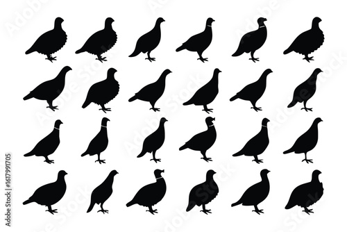 Silhouette of Black Grouse: A symmetrical pattern of the grouse, each rendered in a solid black silhouette, creating an intriguing visual experience.