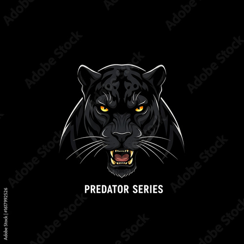 black cat on a black background