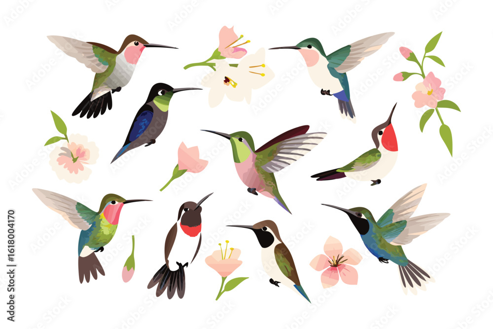 Obraz premium Hummingbirds in Flight: A collection of vibrant hummingbirds captured in mid-flight, their wings a blur of motion against the backdrop of blooming flowers. Illustrative style with bright color.