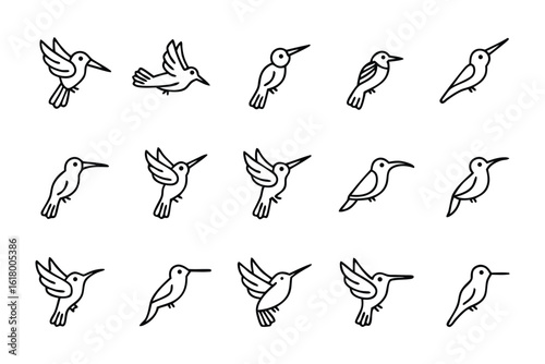 Hummingbird Collection in Flight: A sophisticated compilation of hummingbird illustrations. Showcasing elegant minimalist lines and graceful poses, it encapsulates the delicate beauty of avian flight.
