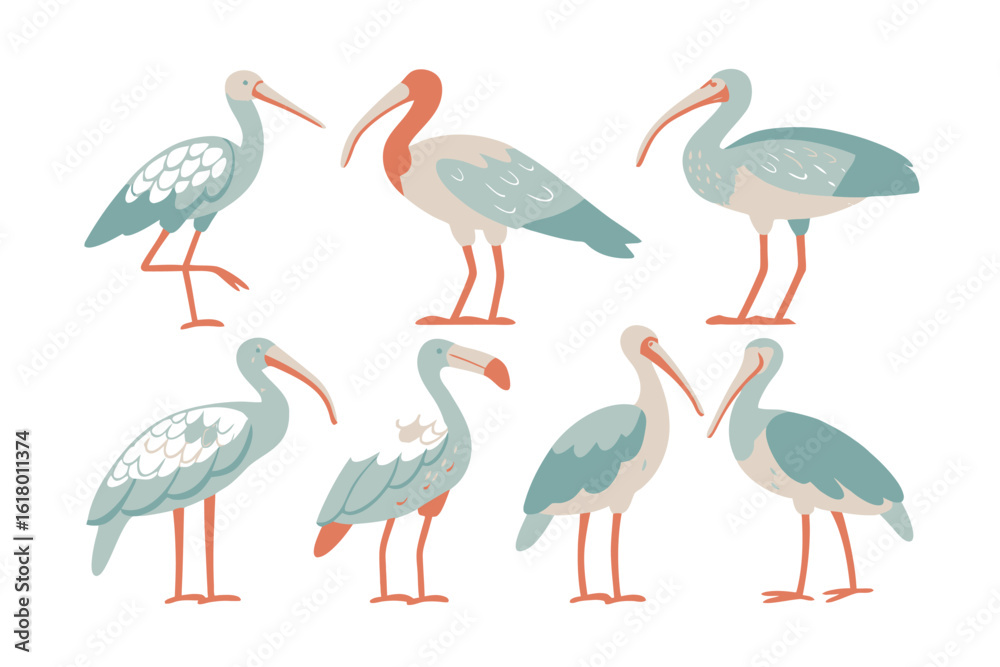 Obraz premium Ibis Collection: Diverse illustration of various ibis, featuring distinctive long curved beaks, slender legs and range of postures.