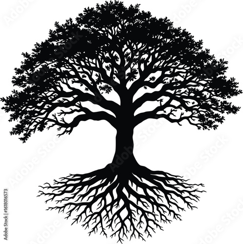 “The Mirrored Tree” – Roots Reflecting Branches