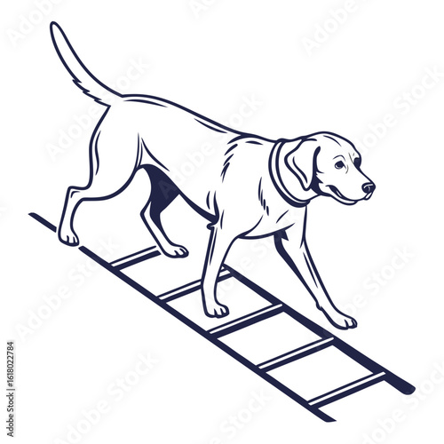 Dark blue line art of a dog walking through an agility ladder on a white background canine animal