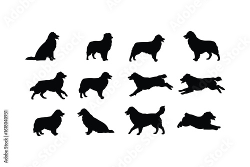 Australian Shepherd Silhouettes Poses black