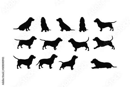 Basset hound dogs in various poses silhouette black