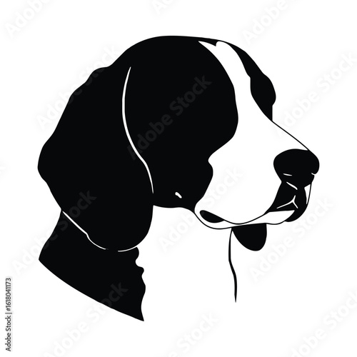 Black and white beagle profile animal canine