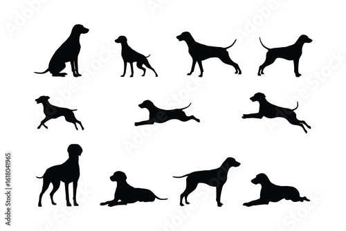 Black dog silhouettes in various poses white animal