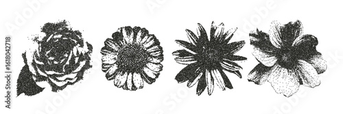 Stippling halftone collage set with flowers. Photocopy stipple effect. Grungy punk aesthetic perfect for zines, posters, DIY flyers, tattoo, graphics, album art